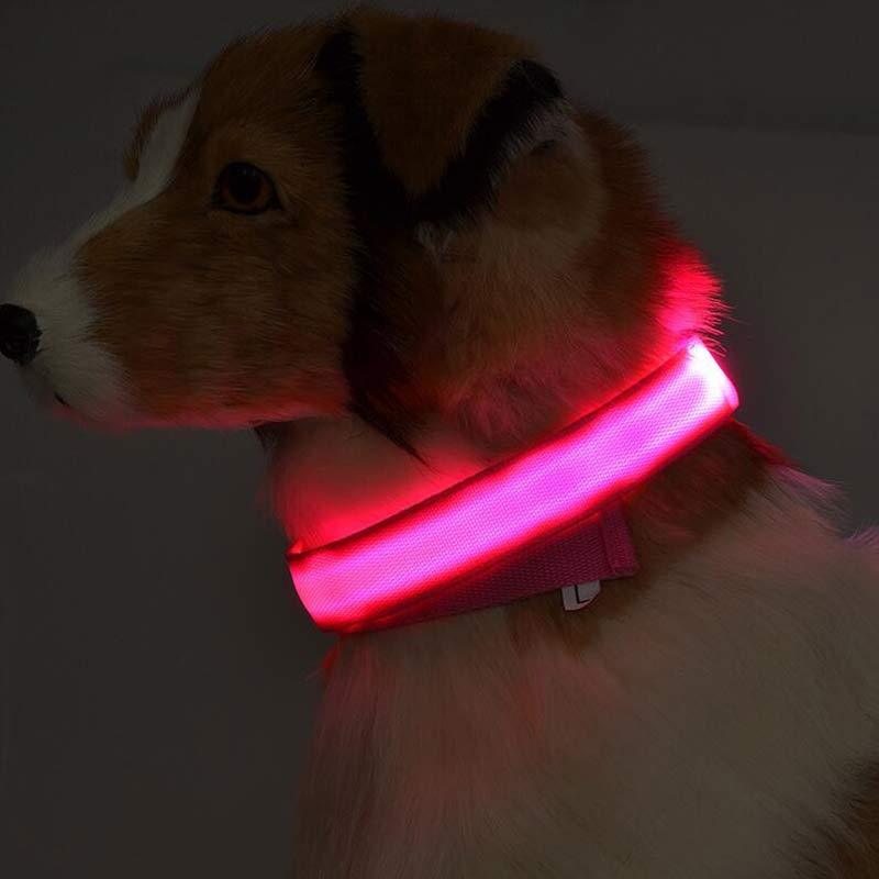 LED Pet Dog Luminous Collar Night Safety